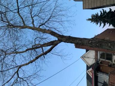 Main picture of 4545 159th St