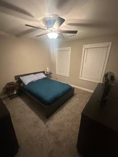 Main picture of 508 Castle Pinckney Ln