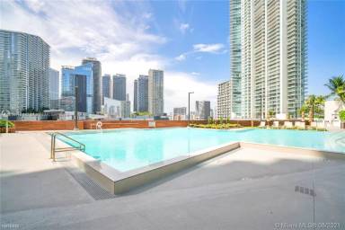 Main picture of The Wind