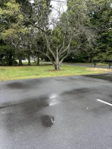 Main picture of 779 Neighborhood Rd