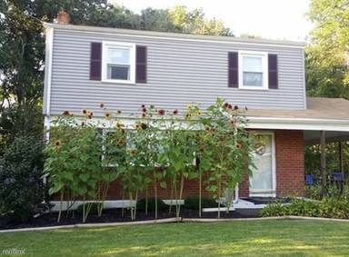 Main picture of 120 Willard Dr