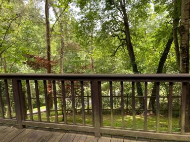 Main picture of 207 Locust Creek Rd