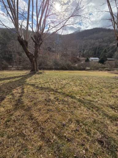 Main picture of 1781 Wayehutta Rd