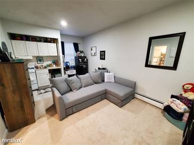 Main picture of 164 Saint Botolph St