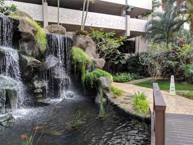 Main picture of The Windsor