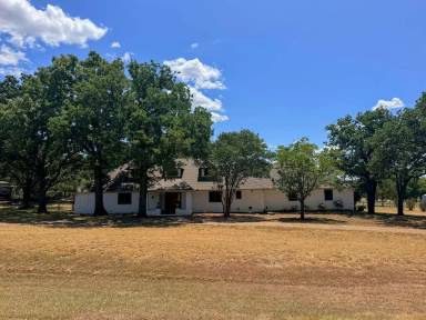 Main picture of 2524 Mockingbird Rd
