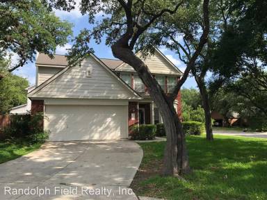 Main picture of 2497 Mocine Elm