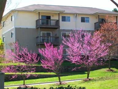 Main picture of University Commons