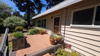 Main picture of 704 N 163rd St