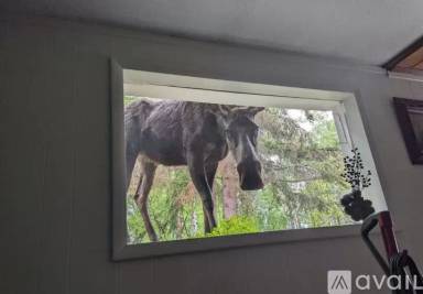Main picture of 17414 Monte Rd