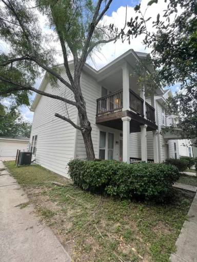 Main picture of 10212 Lateleaf Oak