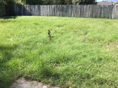 Main picture of 317 Cheshire Ln