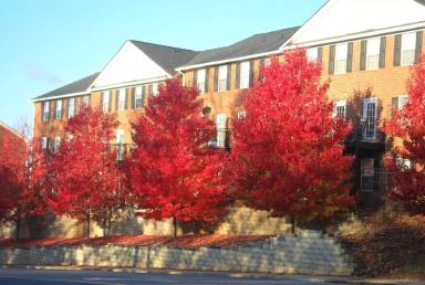 Main picture of 145 North Ave