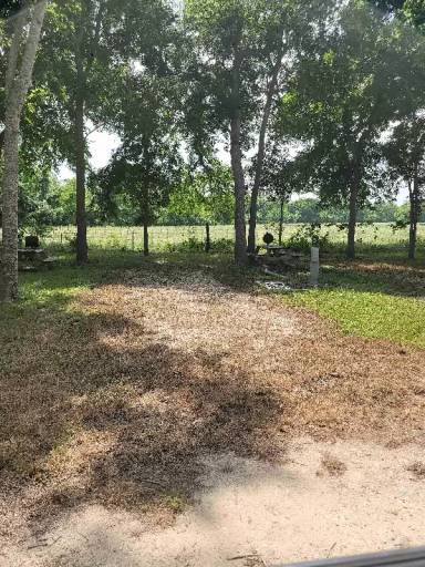 Main picture of 336 County Road 90B