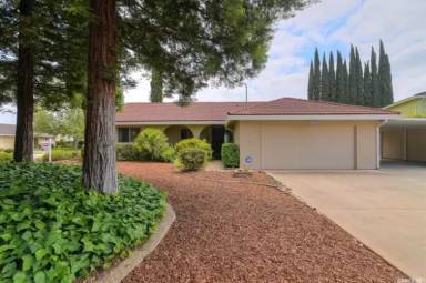 Main picture of 2209 El Cejo Cir