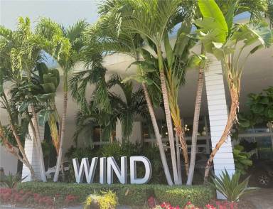 Main picture of The Wind