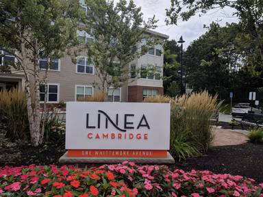 Main picture of Linea Cambridge
