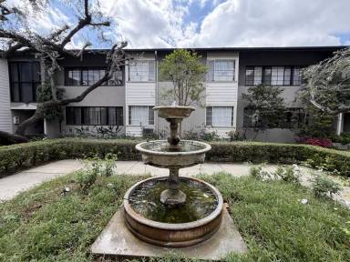 Main picture of Olive Tree Lane Apartments