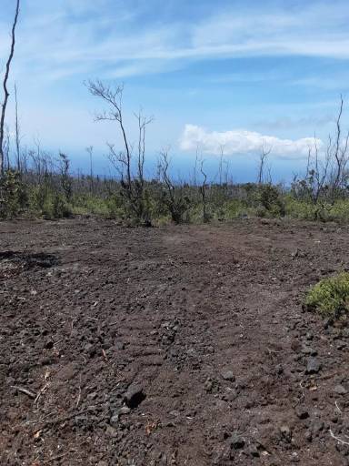 Main picture of 922428 Lei Pkwy