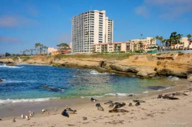 Main picture of 939 Coast Blvd Apartments