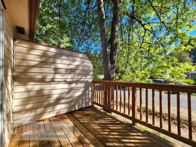 Main picture of 9555 SW Hall Blvd