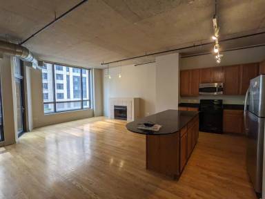 Main picture of Library Towers Condominium Chicago