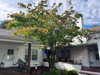 Main picture of 813 Apperson Dr