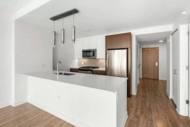Main picture of 1342 S Michigan Ave