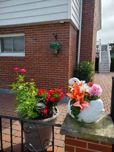 Main picture of 121 Newman St