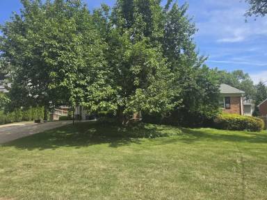 Main picture of 6403 Orchid Dr