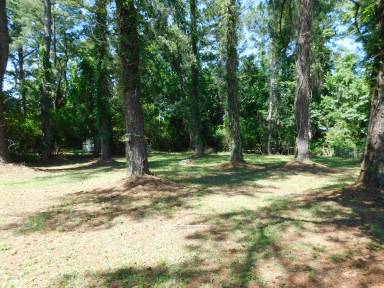 Main picture of 4004 Brandywine Dr