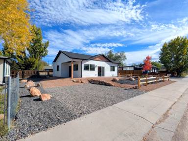 Main picture of 317 W Ouray Ave