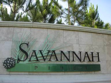 Main picture of 10926 Savannah Wood Dr