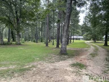 Main picture of 45 Elliott Rd