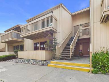 Main picture of Footprints on the Bay