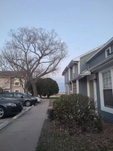 Main picture of 1502 W Shade Ln