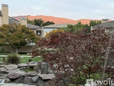 Main picture of 39206 Guardino Dr