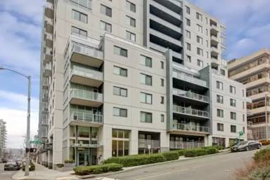 Main picture of 81 Clay Street Apartments