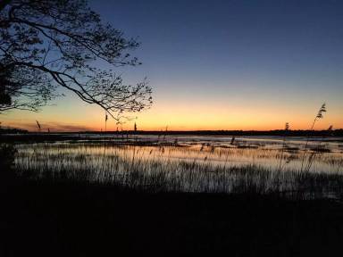 Main picture of Hilton Head