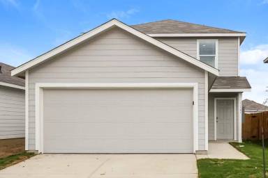 Main picture of 11541 Chestnut Rose