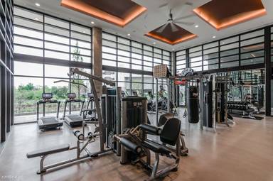 Main picture of The Shay