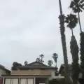 Main picture of 2849 Bayshore Ave