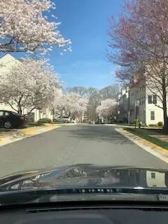 Main picture of 6490 Tayack Pl