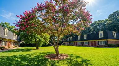 Main picture of Country Club Apartments