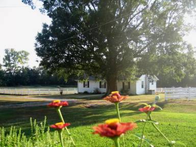 Main picture of 1116 Martintown Rd
