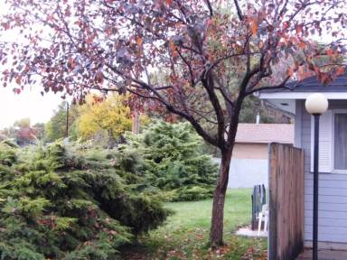 Main picture of 4 Stanford Ave