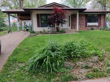Main picture of 547 Blazedwood Dr