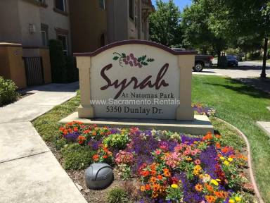 Main picture of Syrah at Natomas Park
