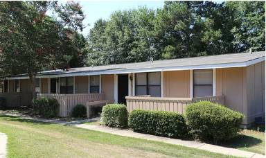 Main picture of Wesley Pines