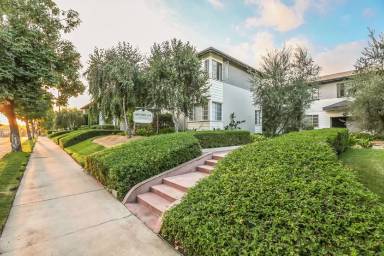 Main picture of Olive Tree Lane Apartments